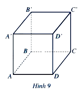 Hoạt động 6 trang 78 Toán 7 tập 1 SGK Cánh Diều