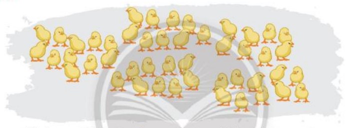 Bài 8 Toán lớp 3 trang 20 sách Chân trời sáng tạo