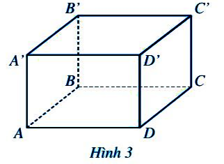 Hoạt động 2 trang 76 Toán 7 tập 1 SGK Cánh Diều