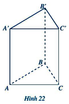 Hoạt động 2 trang 82 Toán 7 tập 1 SGK Cánh Diều