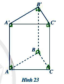 Hoạt động 3 trang 82 Toán 7 tập 1 SGK Cánh Diều