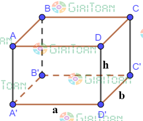 Hoạt động 7 trang 84 Toán 7 tập 1 SGK Cánh Diều