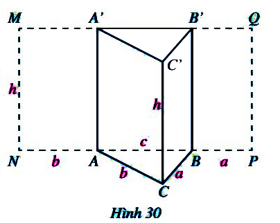 Hoạt động 8 trang 84 Toán 7 tập 1 SGK Cánh Diều