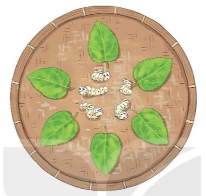 Bài 1 Toán lớp 1 trang 22 sách Kết nối tri thức