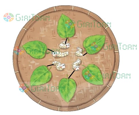 Bài 1 Toán lớp 1 trang 22 sách Kết nối tri thức