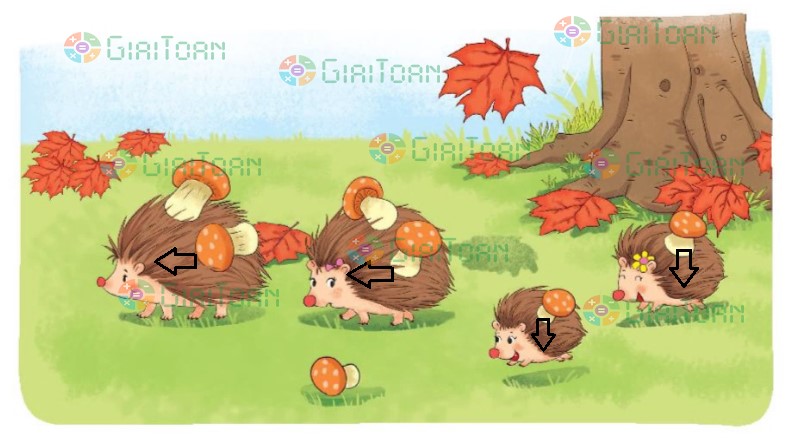 Bài 2 Toán lớp 1 trang 22 sách Kết nối tri thức