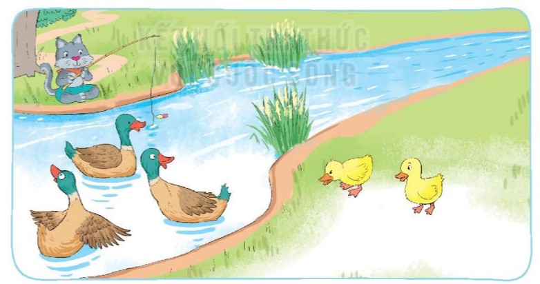 Bài 4 Toán lớp 1 trang 23 sách Kết nối tri thức