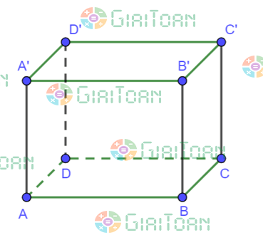 Bài 3 trang 87 Toán 7 tập 1 SGK Cánh Diều