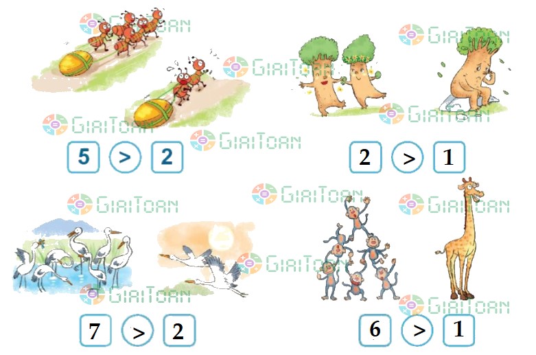 Hoạt động 3 Toán lớp 1 trang 25 sách Kết nối tri thức