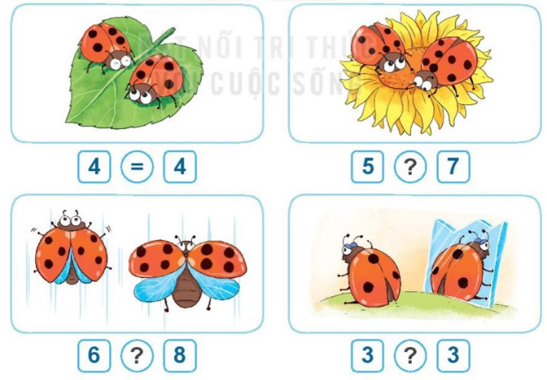 Hoạt động 4 Toán lớp 1 trang 29 sách Kết nối tri thức