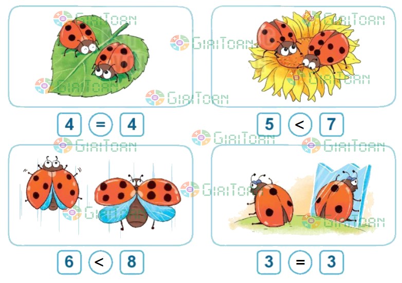 Hoạt động 4 Toán lớp 1 trang 29 sách Kết nối tri thức