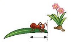 Bài 4 Toán lớp 3 trang 22 sách Chân trời sáng tạo