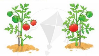 Bài 2 Toán lớp 1 trang 23 sách Cánh Diều