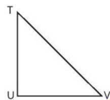 Thực hành 1 Toán lớp 3 trang 23 sách Chân trời sáng tạo