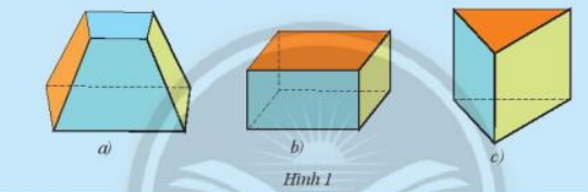 Hoạt động 1 trang 48 Toán 7 tập 1 SGK Chân trời sáng tạo