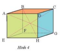 Thực hành 2 trang 48 Toán 7 tập 1 SGK Chân trời sáng tạo