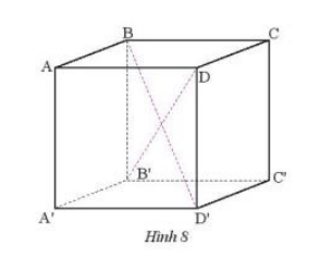 Thực hành 3 trang 49 Toán 7 tập 1 SGK Chân trời sáng tạo