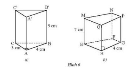 Bài 1 trang 57 Toán 7 tập 1 SGK Chân trời sáng tạo