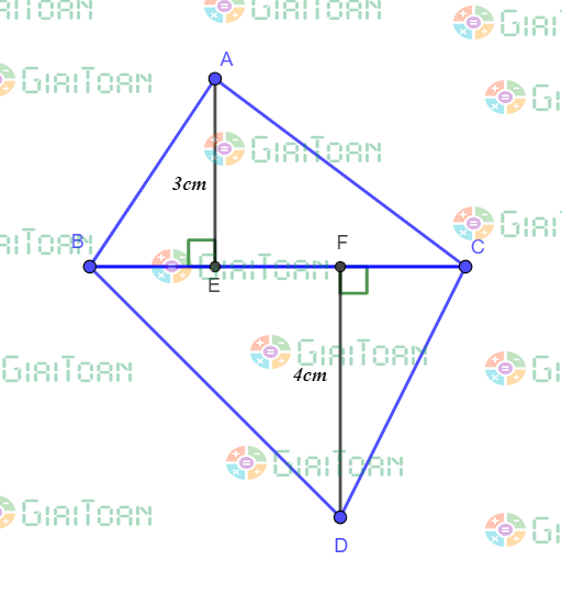 Bài 6 trang 63 Toán 7 tập 1 SGK Chân trời sáng tạo