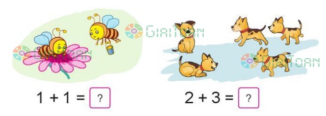 Bài 1 Toán lớp 1 trang 37 sách Cánh Diều