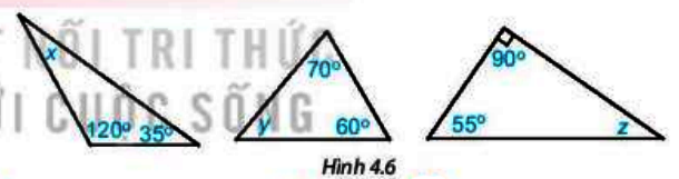 Bài 4.1 trang 62 Toán 7 tập 1 SGK Kết nối tri thức với cuộc sống