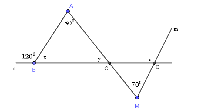Bài 4.3 trang 62 Toán 7 tập 1 SGK Kết nối tri thức với cuộc sống