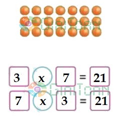 Bài 1 Toán lớp 3 trang 30 sách Cánh Diều