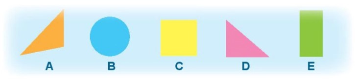 Hoạt động 2 Toán lớp 1 trang 47 sách Kết nối tri thức