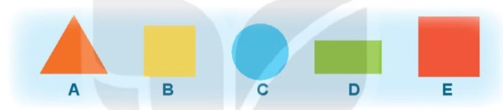 Hoạt động 2 Toán lớp 1 trang 47 sách Kết nối tri thức