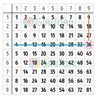 Bài 2 Toán lớp 3 trang 32 sách Cánh Diều