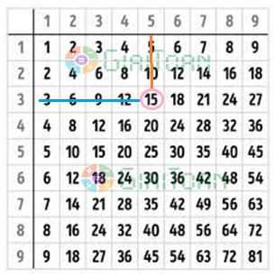 Bài 2 Toán lớp 3 trang 32 sách Cánh Diều