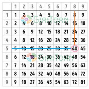 Bài 2 Toán lớp 3 trang 32 sách Cánh Diều