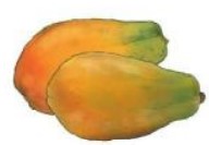 Bài 3 Toán lớp 3 trang 35 sách Cánh Diều