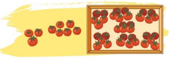 Vui học Toán lớp 3 trang 34 sách Chân trời sáng tạo