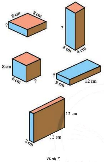 Bài 6 trang 67 Toán 7 tập 1 SGK Chân trời sáng tạo