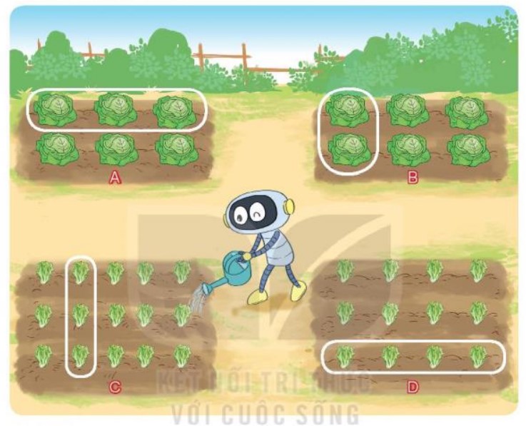 Bài 3 Toán lớp 3 trang 45 sách Kết nối tri thức