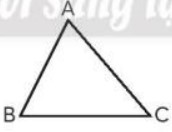 Bài 6 Toán lớp 3 trang 39 sách Chân trời sáng tạo