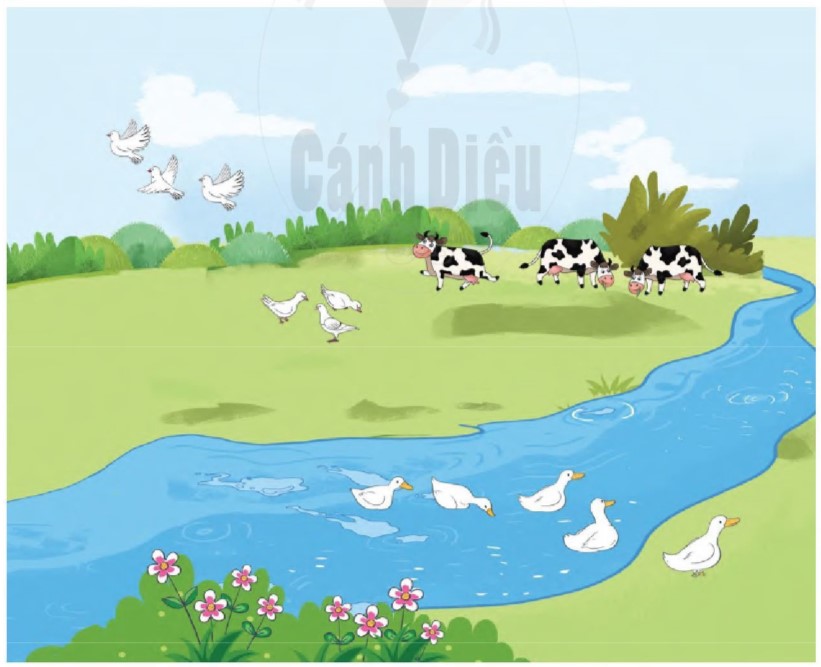 Bài 5 Toán lớp 1 trang 63 sách Cánh Diều