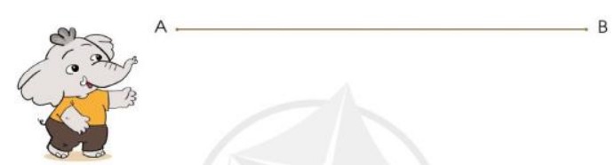 Bài 2 Toán lớp 3 trang 45 sách Cánh Diều