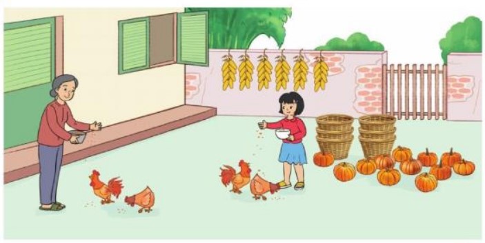 Bài 4 Toán lớp 3 trang 53 sách Cánh Diều