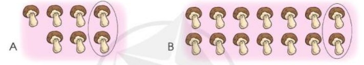 Bài 3 Toán lớp 3 trang 62 sách Cánh Diều