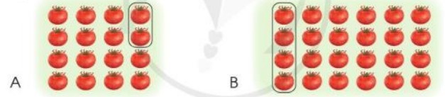 Bài 3 Toán lớp 3 trang 62 sách Cánh Diều