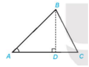 Hoạt động 5 trang 41 Toán 10 tập 1 SGK Kết nối tri thức với cuộc sống