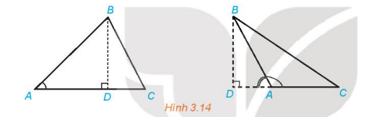 Hoạt động 5 trang 41 Toán 10 tập 1 SGK Kết nối tri thức với cuộc sống