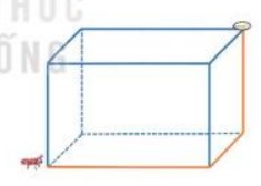 Bài 1 Toán lớp 3 trang 64 sách Kết nối tri thức