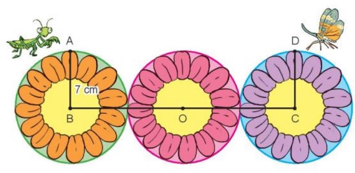 Bài 2 Toán lớp 3 trang 53 sách Kết nối tri thức