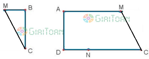 Hoạt động 3 Toán lớp 3 trang 57 sách Kết nối tri thức