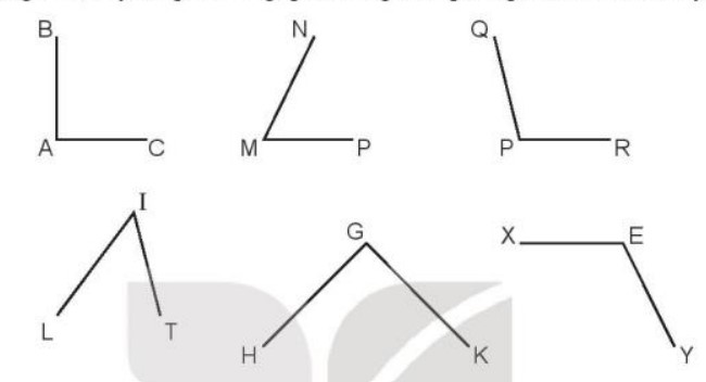 Hoạt động Toán lớp 3 trang 55 sách Kết nối tri thức