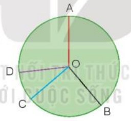 Bài 2 Toán lớp 3 trang 66 sách Kết nối tri thức