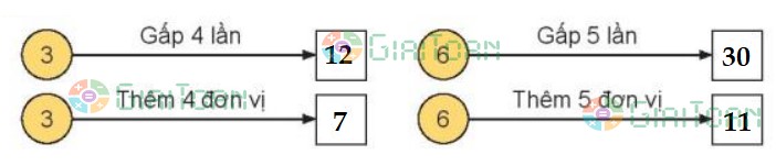 Bài 1 Toán lớp 3 trang 71 sách Kết nối tri thức